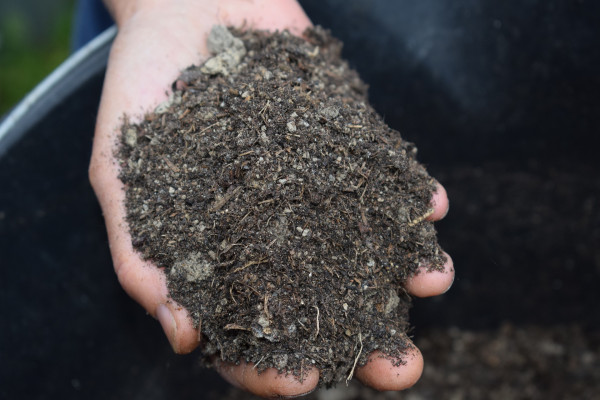 mulch-4827133_1920-1