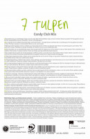 Sperli Premium Einfache Späte Tulpe Candy Club Mix Produktbild von Sperli Premium Einfache Späte Tulpe Candy Club Mix mit Beschreibung und Pflanzanleitung in verschiedenen Sprachen sowie Firmenadresse und PEFC-Zertifizierung.