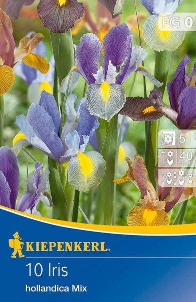 Produktbild von Kiepenkerl Holländische Schwertlilie Mischung mit Abbildungen bunter Irisblüten und Verpackungsinformationen.