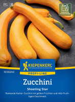 Kiepenkerl Zucchini Shooting Star F1
