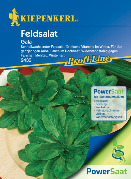 Produktbild von Kiepenkerl Feldsalat Gala PowerSaat mit Informationen zu schnellem Wachstum und Resistenz gegen Falschen Mehltau für ganzjährigen Anbau.