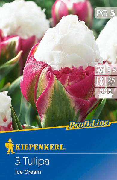 Produktbild der Kiepenkerl Profi-Line mit der gefüllten späten Tulpe Ice Cream, Pflanzanleitung und Packungsbeschriftung.
