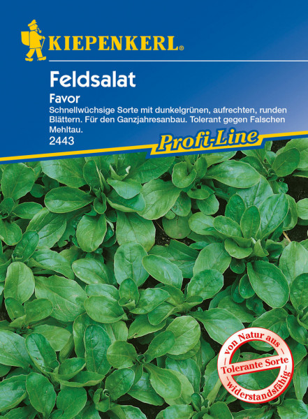 Produktbild von Kiepenkerl Feldsalat Favor mit Beschreibung der Sorte dunkelgrüne Blätter für Ganzjahresanbau und Mehltauresistenz auf der Packung.