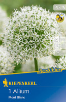 Kiepenkerl Profi-Line Zierlauch Mont Blanc
