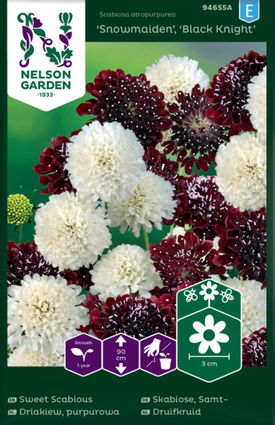 Produktbild von Nelson Garden Samt-Skabiose Snowmaiden BlackKnight mit blühenden Pflanzen und Verpackungsinformationen.