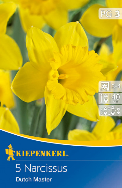 Produktbild von Kiepenkerl Narzisse Dutch Master mit Abbildung der gelben Blüten und Verpackungsinformationen in deutscher Sprache.