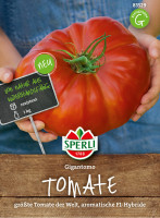 Sperli Fleisch-Tomate Gigantomo, F1