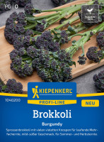 Kiepenkerl Brokkoli Burgundy F1