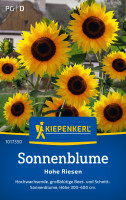 Kiepenkerl Sonnenblume Hohe Riesen