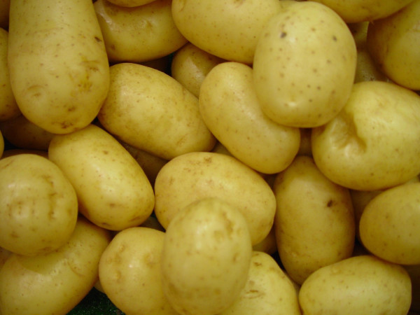 potatoes-3455_1920