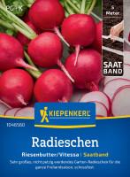 Kiepenkerl Radieschen Riesenbutter/Vitessa Saatband