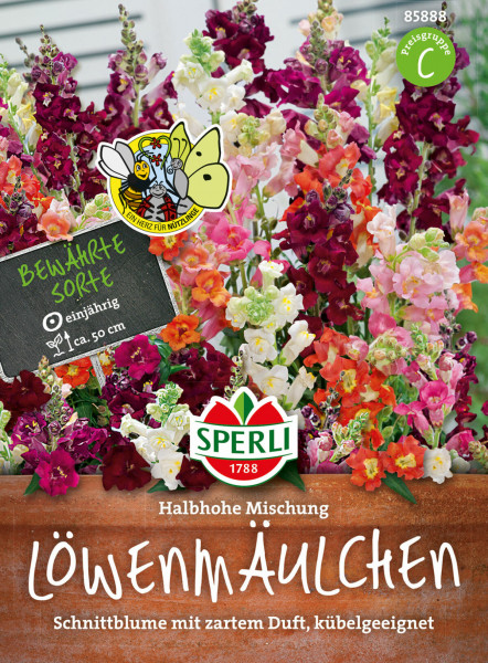 Sperli Löwenmäulchen Halbhohe Mischung