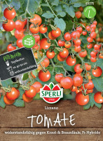 Sperli Cherry-Tomate Lizzano, F1