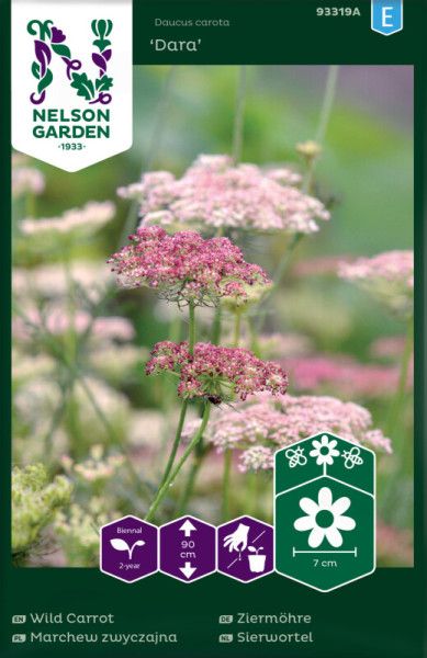 Produktbild von Nelson Garden Ziermöhre Dara mit blühenden Pflanzen und Packungsdesign inklusive Pflanzinformationen in mehreren Sprachen.