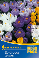 Kiepenkerl Mega-Pack Gartenkrokusmischung