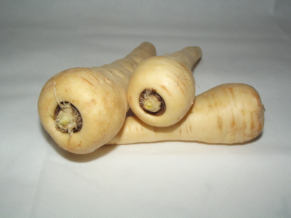 parsnip-20320_1920