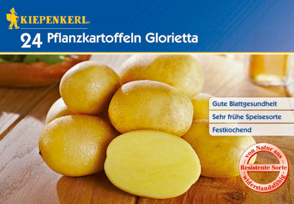 Produktbild von Kiepenkerl Pflanzkartoffel Glorietta 24 Stück mit Abbildung der Kartoffeln und einer aufgeschnittenen Knolle sowie Produktinformationen und Qualitätsversprechen.