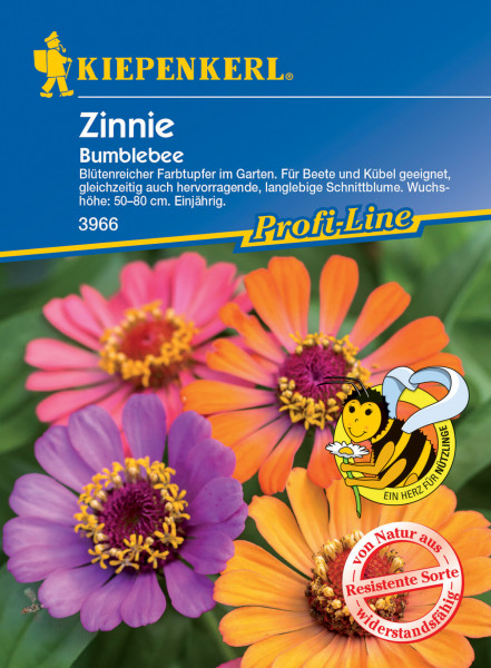 Zinnie Bumblebee