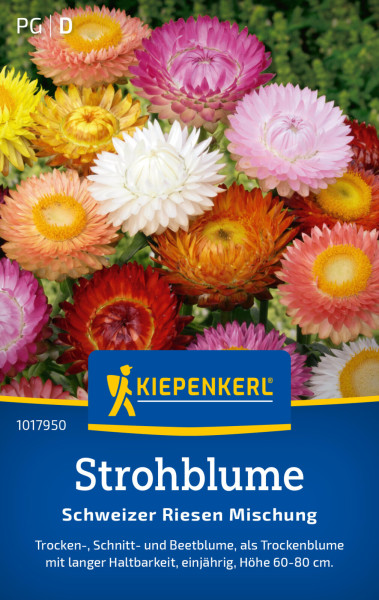 Kiepenkerl Strohblume Schweizer Riesen Mischung