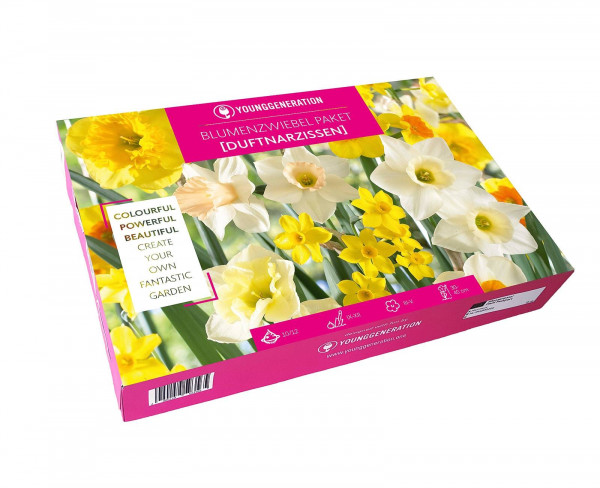 Produktbild Sperli Young Generation Paket Duftnarzissen mit verschiedenen Narzissenbildern und Informationen auf einer pinkfarbenen Verpackung.
