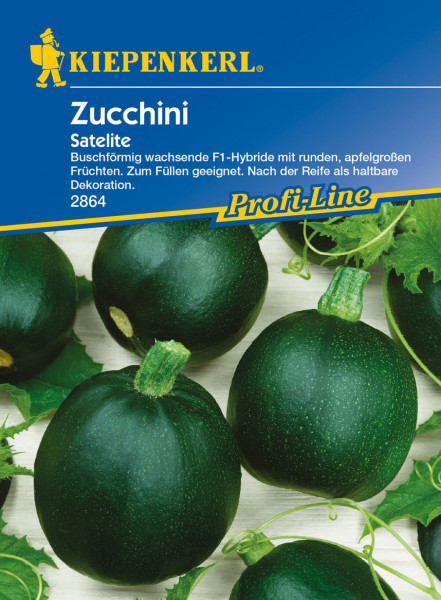Produktbild von Kiepenkerl Zucchini Satelite F1 mit Darstellung der buschförmigen Pflanze und runden apfelgroßen Früchten sowie Verpackungsdesign mit Produktinformationen in deutscher Sprache.
