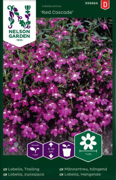 Produktbild von Nelson Garden Maennertreu haengend Red Cascade mit roetlich-pinken Blueten und Informationen ueber Pflanzenart einjaehrig Wuchshoehe und Bluetengroesse.