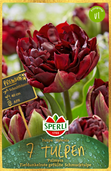 Produktbild der Sperli Premium Gefüllte Frühe Tulpe Palmyra mit dunkelroten Blüten und Verpackungsdetails auf Deutsch