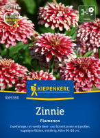 Kiepenkerl Zinnie Flamenco