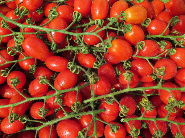 tomatoes-2289746_1280