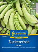 Kiepenkerl Zuckererbse Delikett