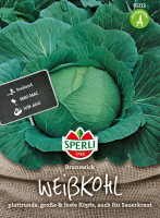Sperli Weißkohl Brunswick