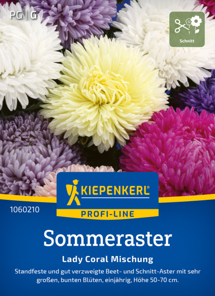 Kiepenkerl Sommeraster Lady Coral Mischung