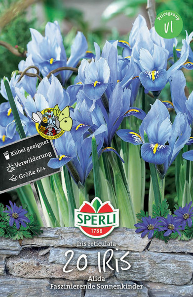 Produktbild von Sperli Zwerg-Iris Alida mit blühenden blauen Iris Pflanzen und Verpackungsinformationen auf Deutsch