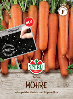 Sperli Möhre Berkos, F1, Pillensaatgut