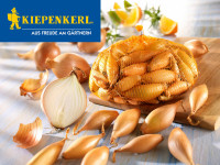 Produktbild von Kiepenkerl Steckzwiebeln birnenfoermige Groesse 10/21 250g mit Zwiebelnetz auf Holzuntergrund und einzelnen Zwiebeln daneben, im Hintergrund... Produktbild von Kiepenkerl Steckzwiebeln birnenfoermige Groesse 10/21 250g mit Zwiebelnetz auf Holzuntergrund und einzelnen Zwiebeln daneben, im Hintergrund Zitronen und Kräuter.