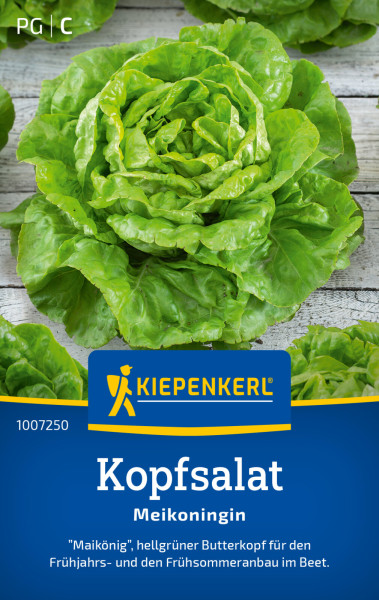 Kiepenkerl Kopfsalat Meikoningin