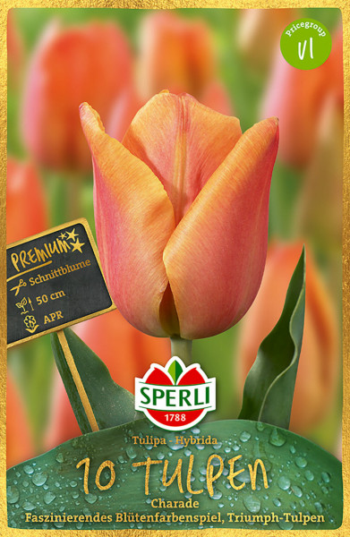 Sperli Premium Triumph-Tulpe Charada
