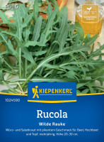 Kiepenkerl Rucola Wilde Rauke