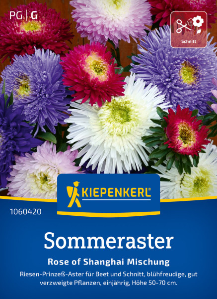 Kiepenkerl Sommeraster Rose of Shanghai Mischung