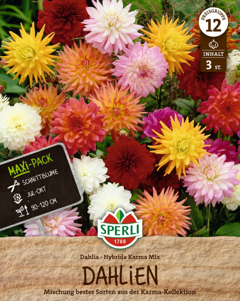 Produktbild von Sperli Dahlie Karma Mix mit einer Auswahl an bunten Dahlienblüten und Verpackungsinformationen zu Inhalt und Sorte in deutscher Sprache.