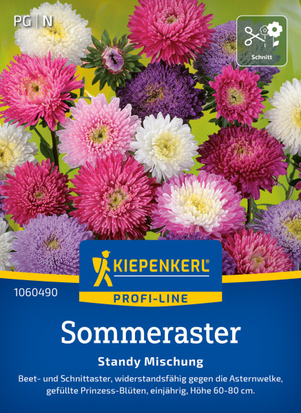 Kiepenkerl Sommeraster Standy Mischung