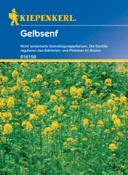 Produktbild von Kiepenkerl Gelbsenf 80 g Packung mit der Darstellung gelb blühender Pflanzen und Informationen zu nicht winterharten Gründungspflanzen und der positiven Wirkung auf das Bodenleben.