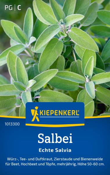 Kiepenkerl Salbei Echte Salvia