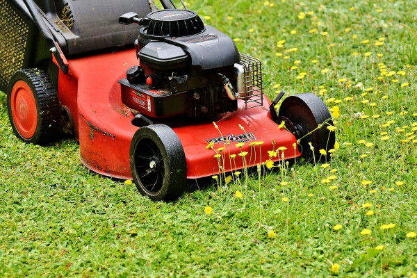 lawn-mower-2408925_1920