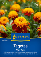 Kiepenkerl Tagetes Tiger Eyes