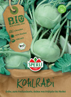 Sperli BIO Kohlrabi Noriko