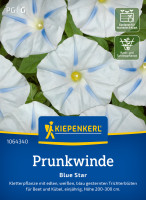 Kiepenkerl Prunkwinde Blue Star