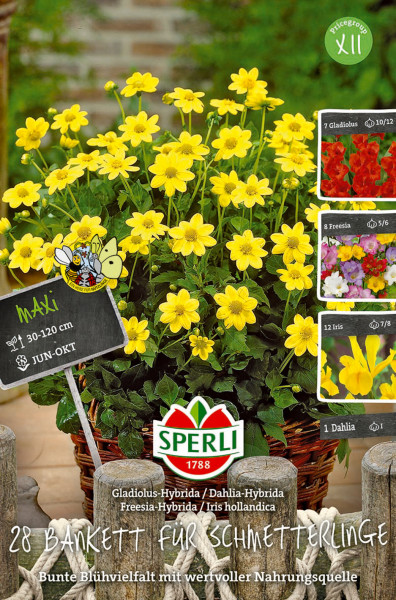 Produktbild von Sperli Bankett für Schmetterlinge mit gelben Blumen und Informationen über die Blühvielfalt und Nahrungsquelle in einem Gartenambiente.