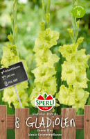 Sperli Gladiole Green Star