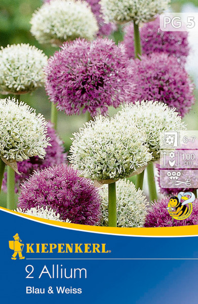 Produktbild von Kiepenkerl Zierlauch Weiß und Blau mit Darstellung der blühenden Pflanzen und Verpackungsdesign mit Firmenlogo und Produktinformationen.